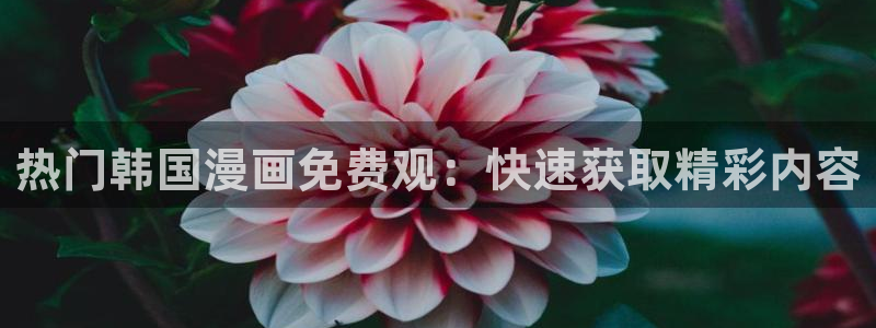 樱花动漫官网官：热门韩国漫画免